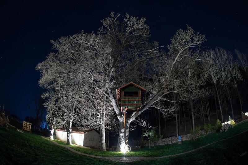 Wolkendorf Bio Hotel & Spa 20 km from Brasov - Aktivite