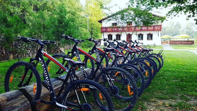 Wolkendorf Bio Hotel & Spa 20 km from Brasov - Genel