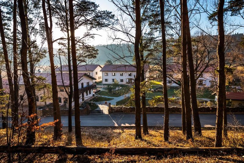 Wolkendorf Bio Hotel & Spa 20 km from Brasov - Genel
