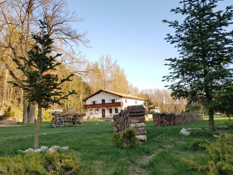 Wolkendorf Bio Hotel & Spa 20 km from Brasov - Genel
