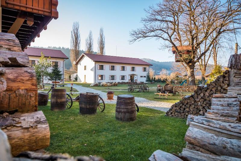 Wolkendorf Bio Hotel & Spa 20 km from Brasov - Genel