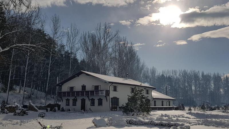 Wolkendorf Bio Hotel & Spa 20 km from Brasov - Genel