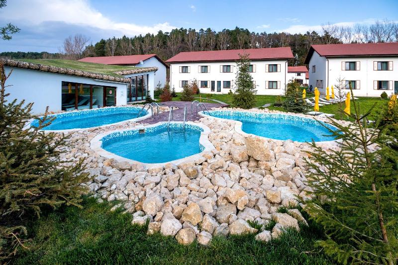 Wolkendorf Bio Hotel & Spa 20 km from Brasov - Havuz