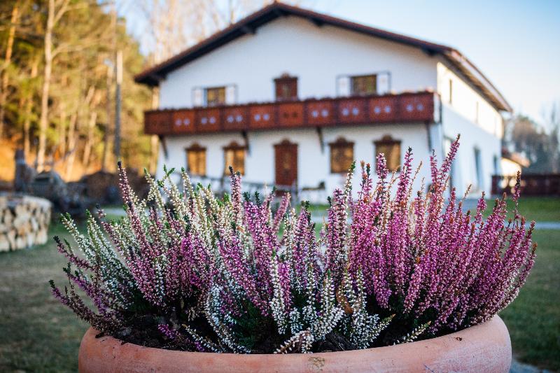 Wolkendorf Bio Hotel & Spa 20 km from Brasov - Restoran