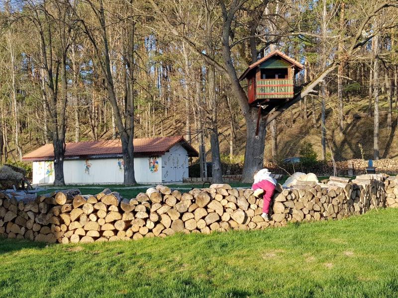 Wolkendorf Bio Hotel & Spa 20 km from Brasov - Teras