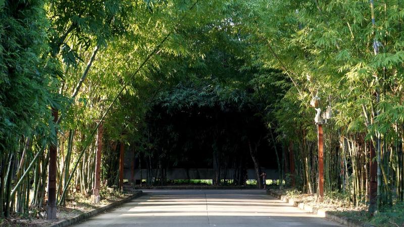 Bamboori Boutique Resort Chiang Mai - Genel