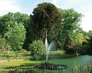 Bosworth Hall Hotel & Spa fotoÄŸrafÄ±
