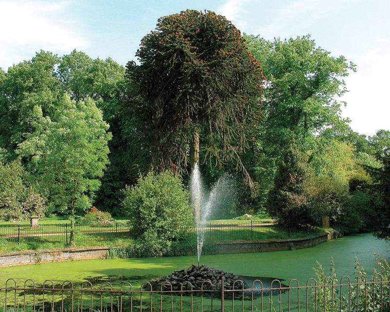 Bosworth Hall Hotel & Spa - Genel