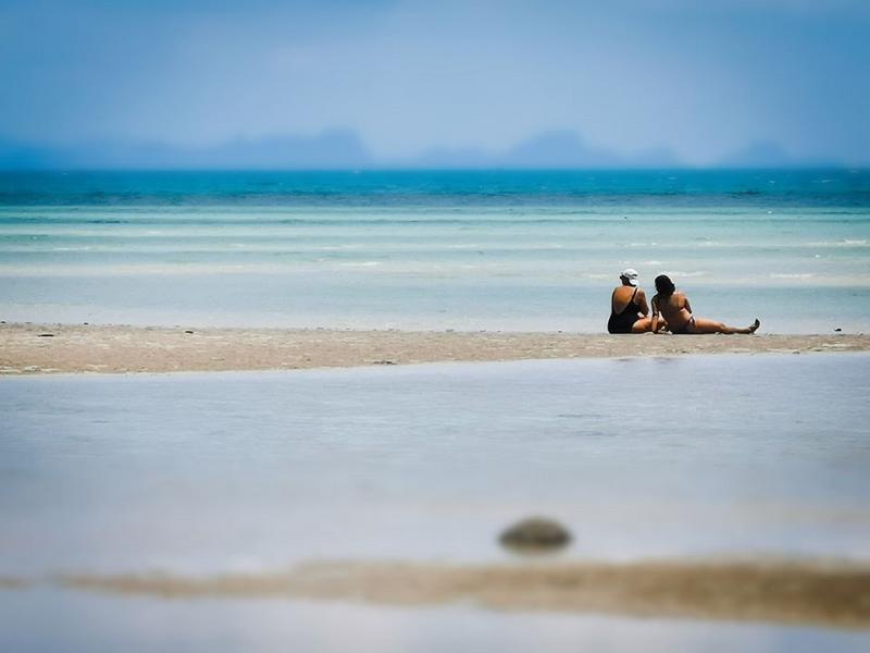 The Mud Samui - Genel