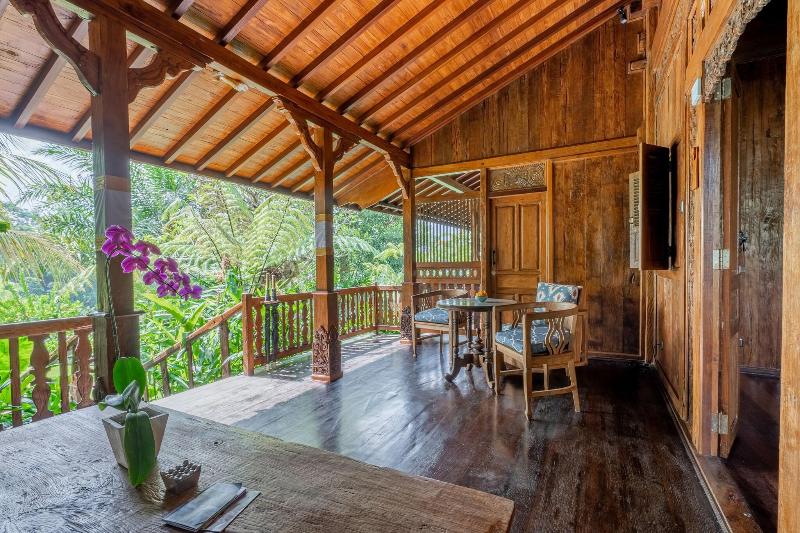 Ubud Valley Boutique Resort - Aktivite