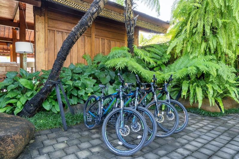 Ubud Valley Boutique Resort - Aktivite