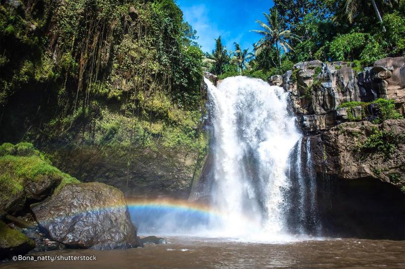 Ubud Valley Boutique Resort - Genel