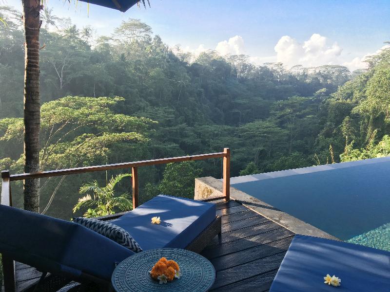 Ubud Valley Boutique Resort - Oda
