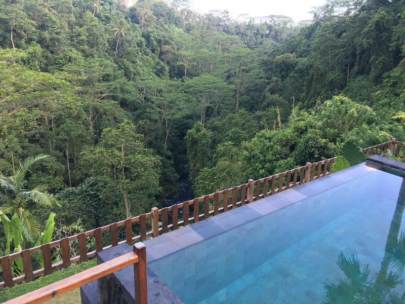 Ubud Valley Boutique Resort - Oda