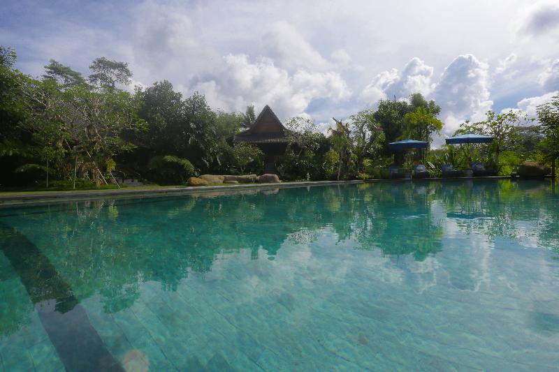 Ubud Valley Boutique Resort - Havuz
