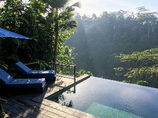 Ubud Valley Boutique Resort fotoÄŸrafÄ±