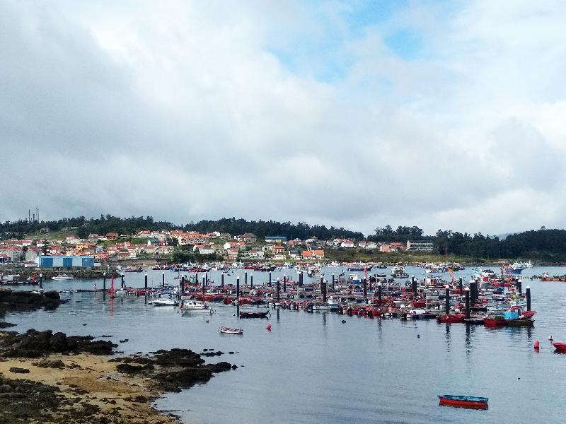 Apartamentos Illa de Arousa 3000 - Plaj
