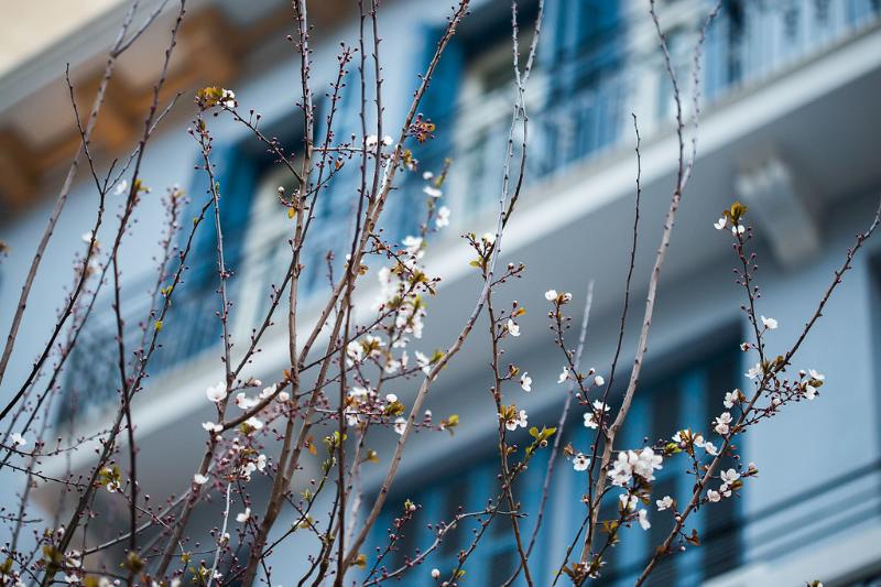 Bahar Boutique Hotel - Genel