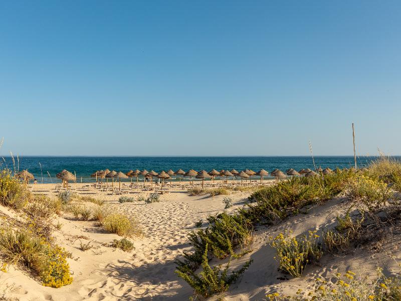 Praia da Lota Resort - Genel