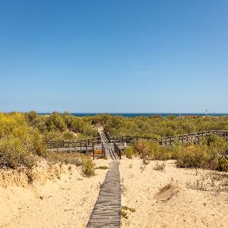 Praia da Lota Resort fotoÄŸrafÄ±