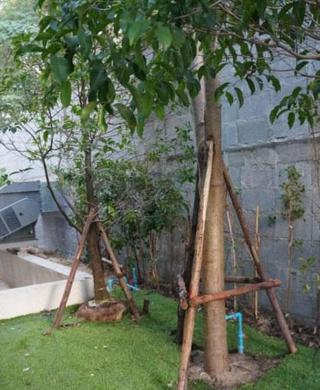 Avatar residence Sukhumvit 7 fotoÄŸrafÄ±