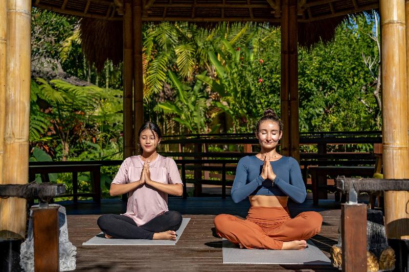 Arya Villas Ubud - Aktivite