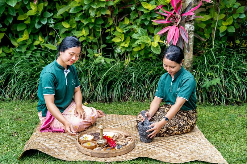 Arya Villas Ubud - Aktivite