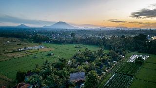 Arya Villas Ubud fotoÄŸrafÄ±
