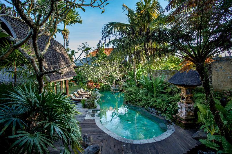 Aryaswara Villa Ubud - Havuz