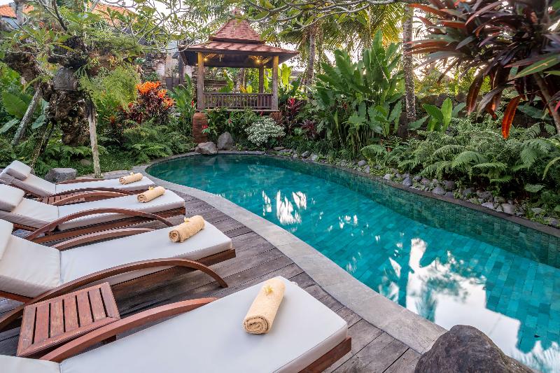 Aryaswara Villa Ubud - Havuz