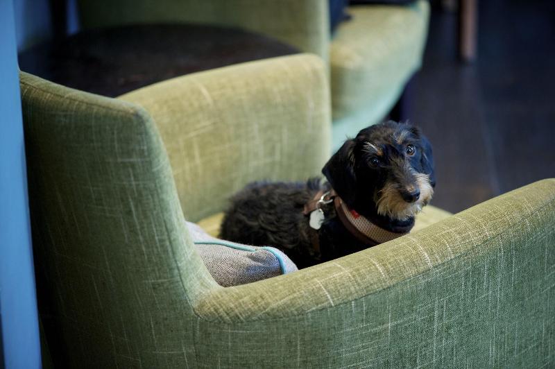 The Lodge Hotel - Lobi