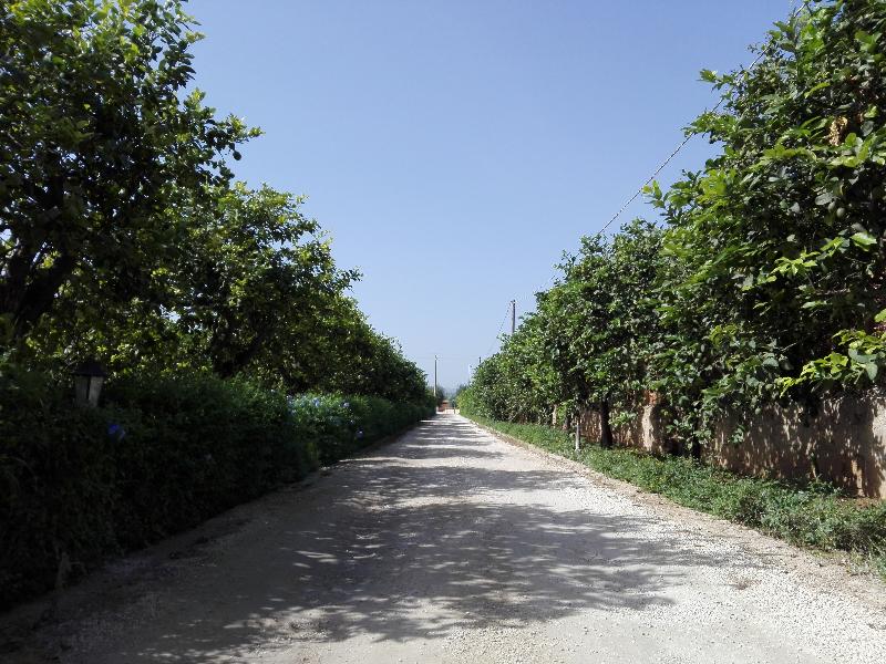 Agriturismo Terra dei Limoni - Lobi