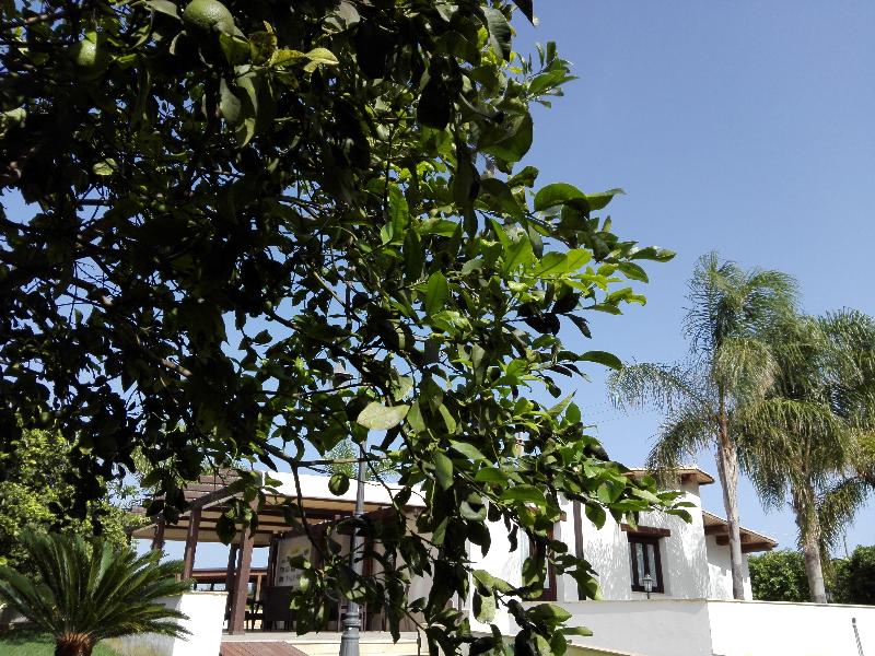 Agriturismo Terra dei Limoni - Genel