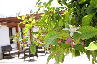 Agriturismo Terra dei Limoni otel fotoğrafı