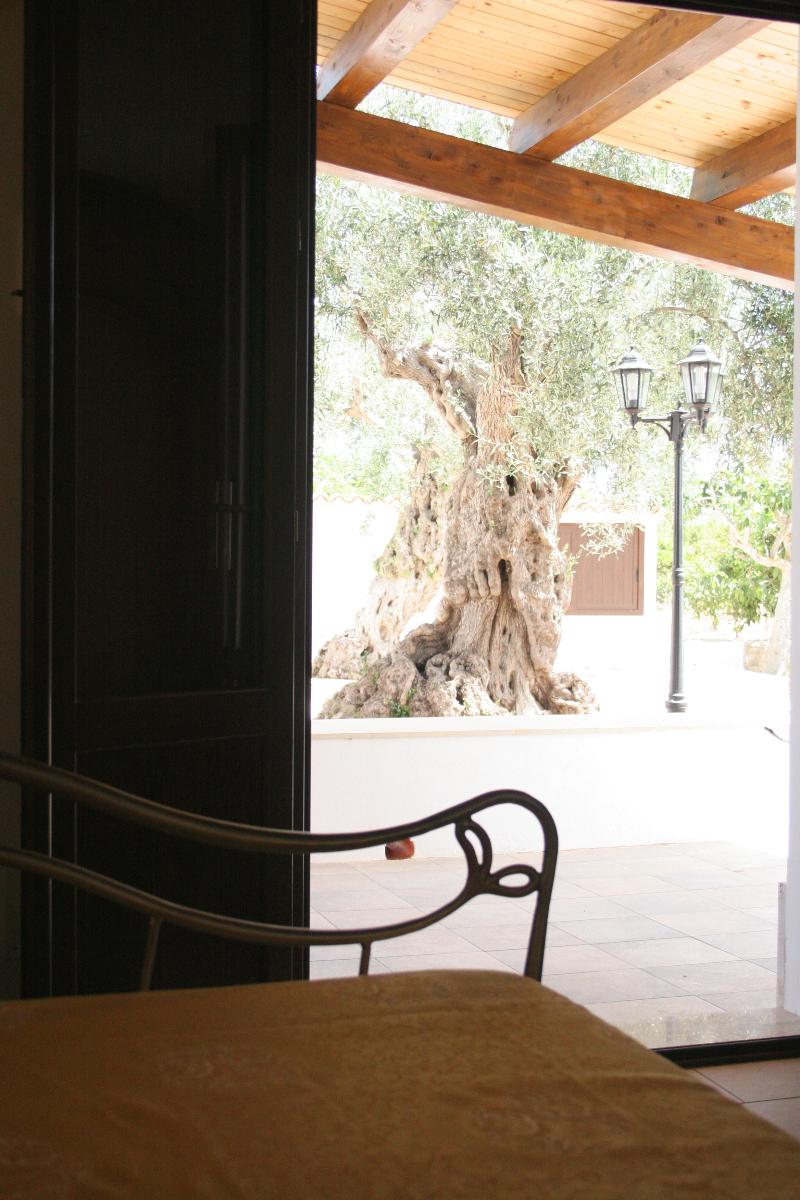 Agriturismo Terra dei Limoni - Oda