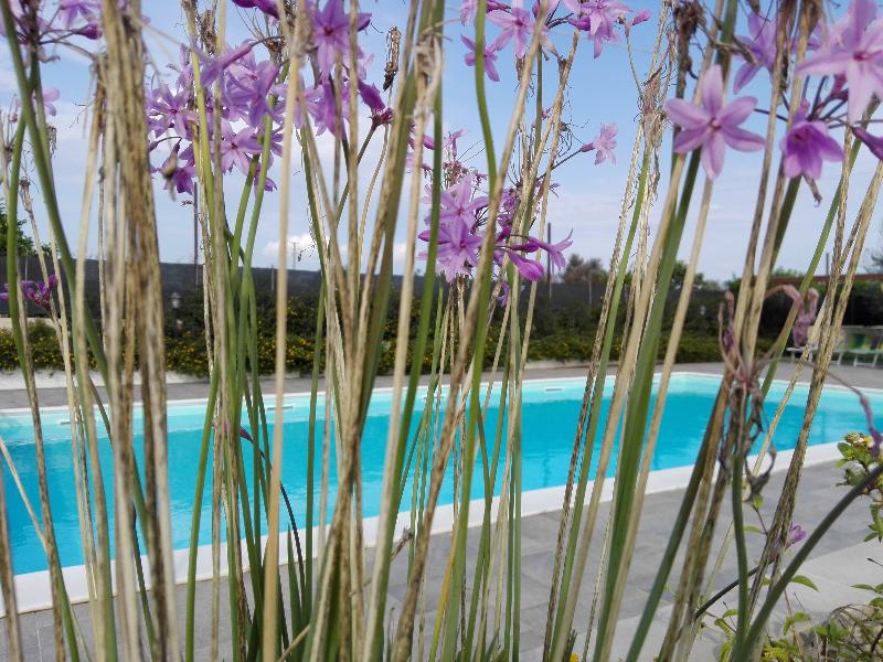Agriturismo Terra dei Limoni - Havuz