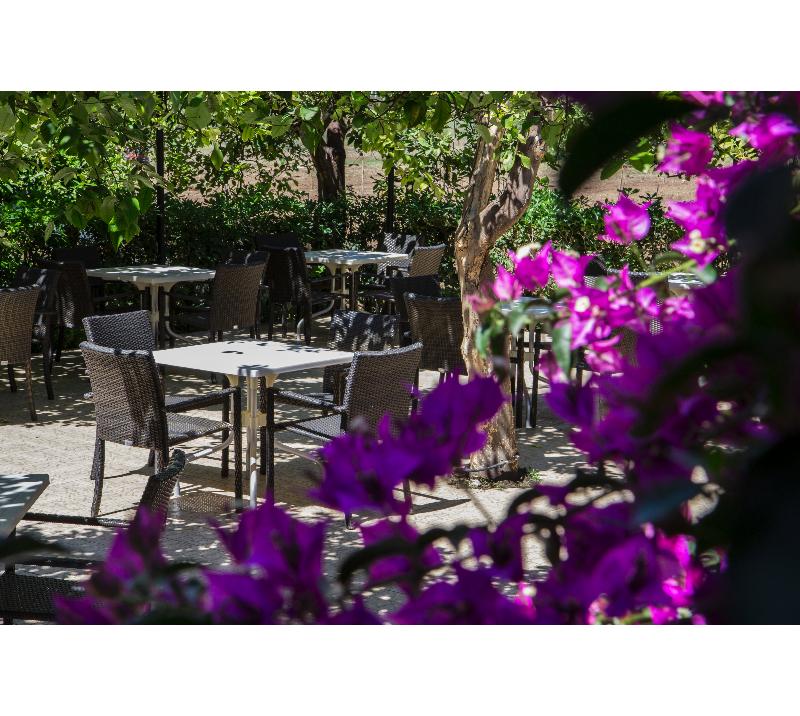 Hotel Villa Felicia - Genel