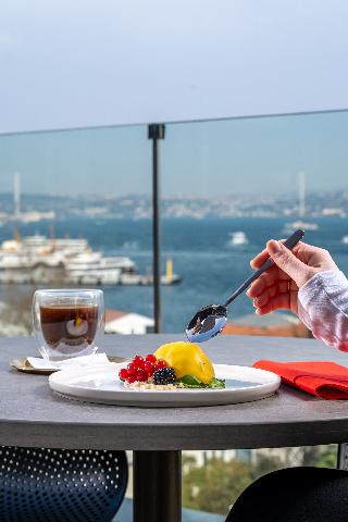 Metropolitan Hotels Bosphorus fotoÄŸrafÄ±