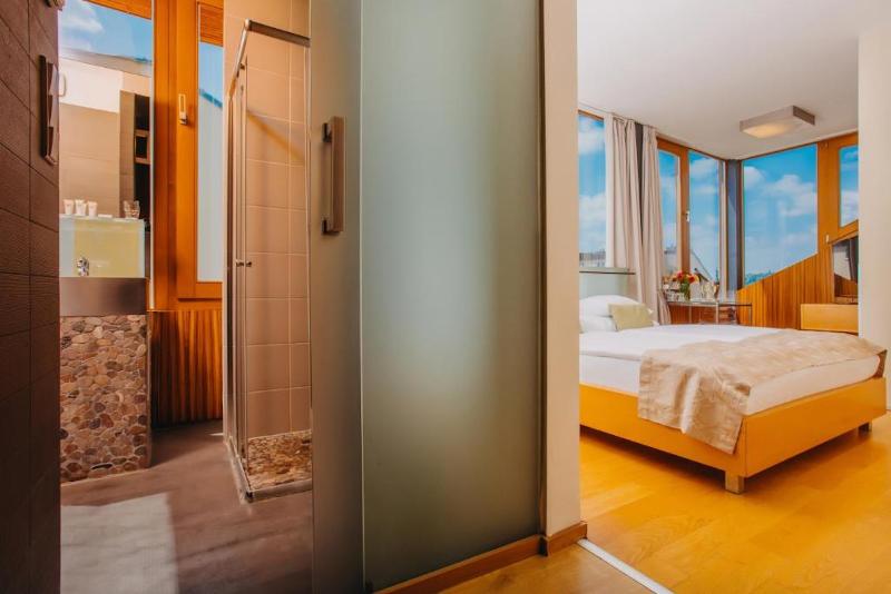 Hotel Wenceslas Square - Oda