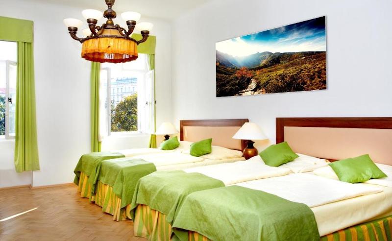 Hotel Wenceslas Square - Oda