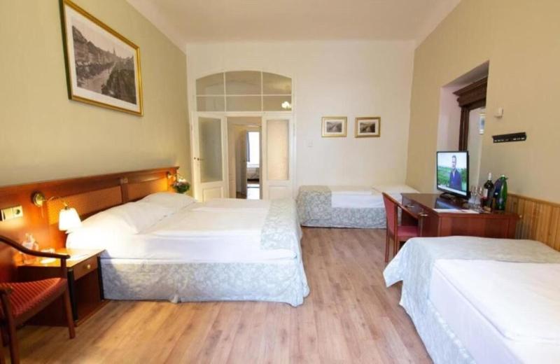 Hotel Wenceslas Square - Oda