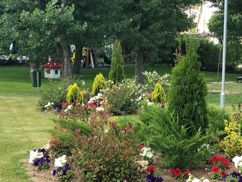 Camping Regio - Genel