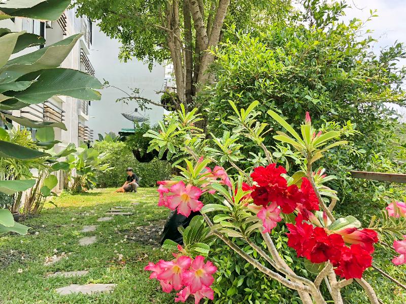 Ideo Phuket Hotel - Genel