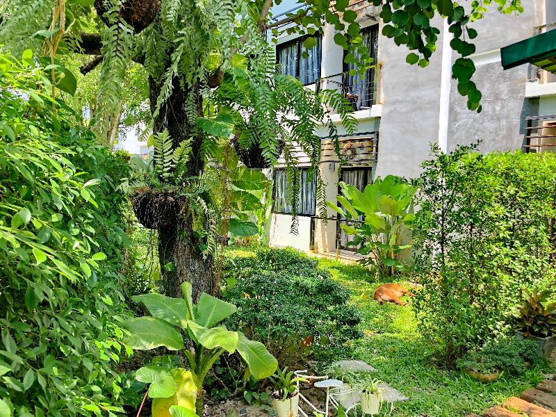 Ideo Phuket Hotel - Genel