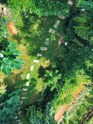 Ideo Phuket Hotel fotoÄŸrafÄ±