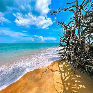 Ideo Phuket Hotel fotoÄŸrafÄ±