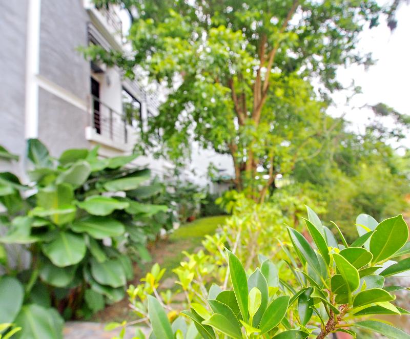 Ideo Phuket Hotel - Genel