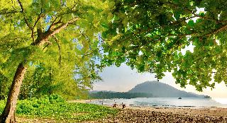Ideo Phuket Hotel fotoÄŸrafÄ±