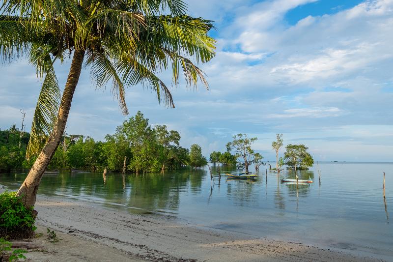 Hotel Santika Premiere Beach Resort Belitung - Plaj