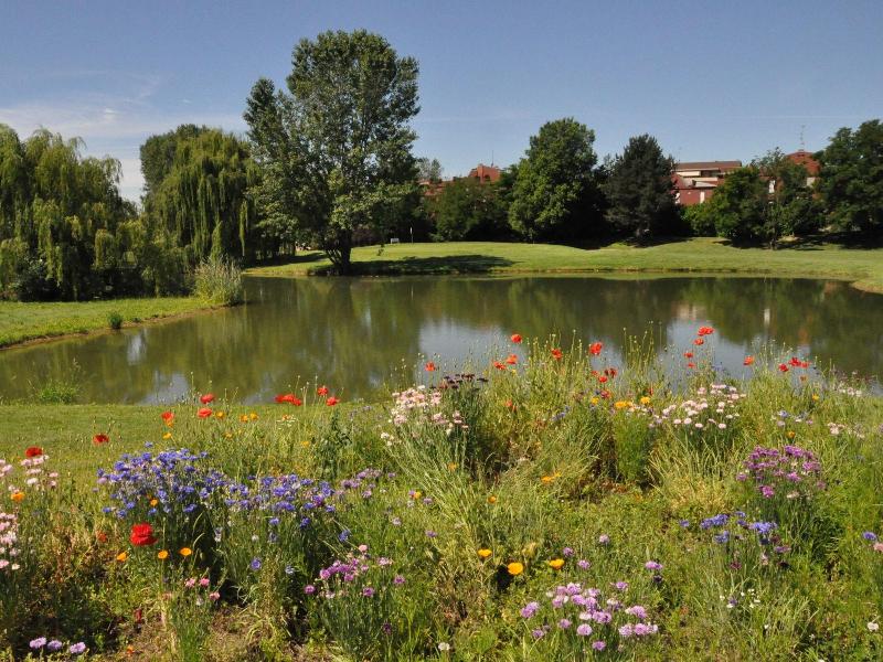 Golf Hotel Resort - Aktivite
